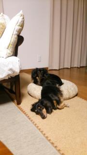 20140920_103400.jpg