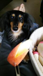 20160108_000556.jpg