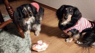 20160627_154014.jpg