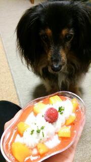 20160627_154032.jpg